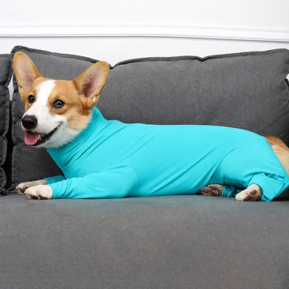 Home Pajamas for Dog