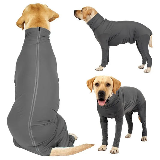 Home Pajamas for Dog