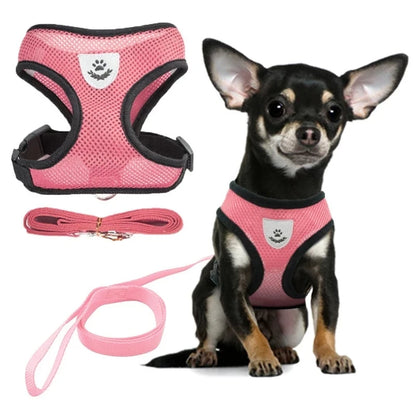 Harness with Leash for Pets