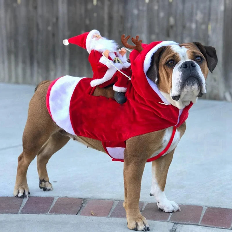 Fun Christmas clothes Santa Claus For  Dog