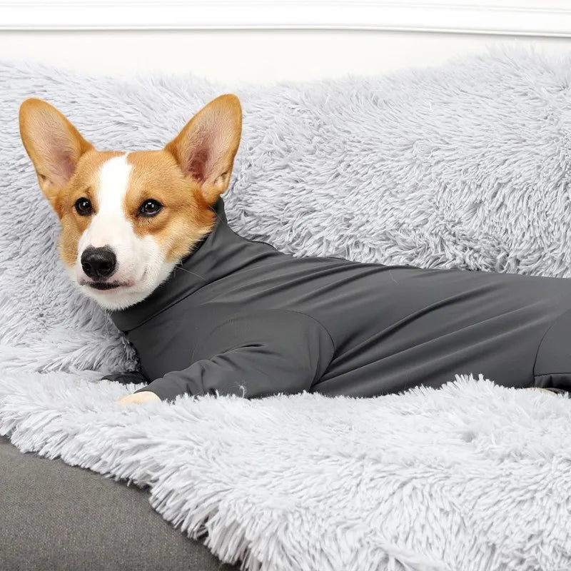 Home Pajamas for Dog