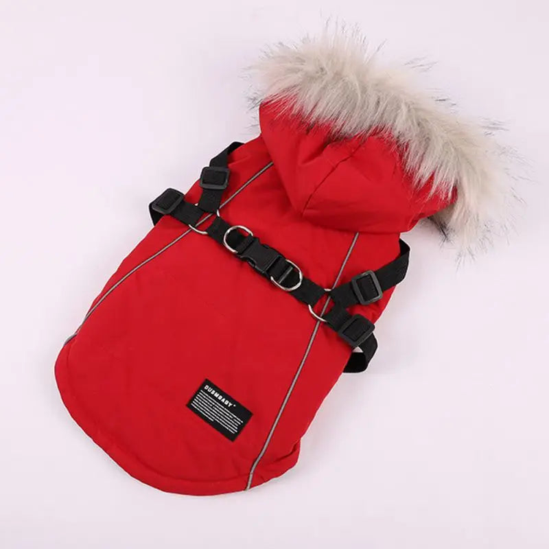 Waterproof Hooded Jacket With Harness for small Dog