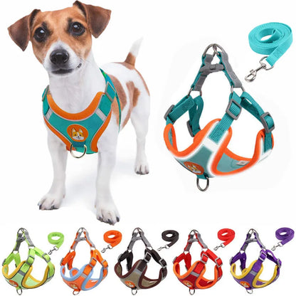 Harness and leash set for dog