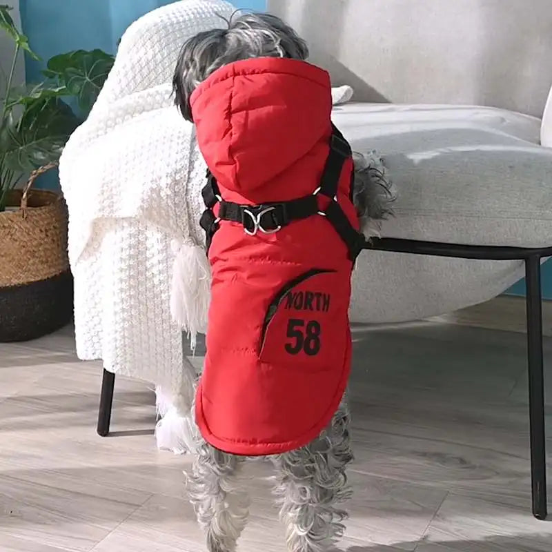 Waterproof Hooded Jacket With Harness for small Dog