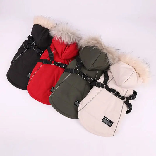 Waterproof Hooded Jacket With Harness for small Dog