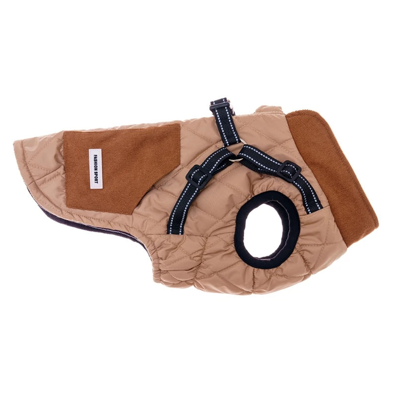 Winet Jacket for small Dogs With Harness