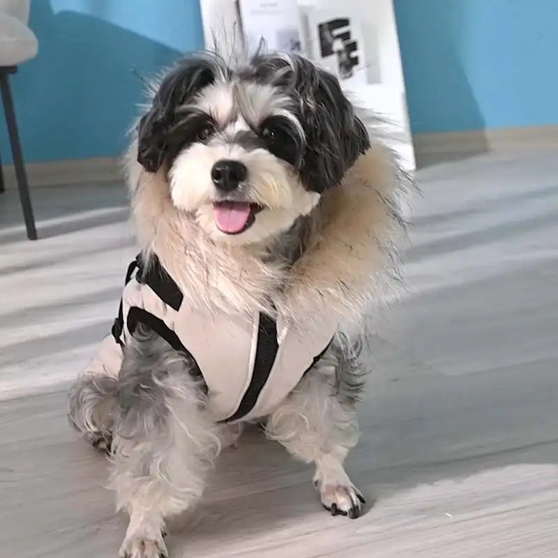 Waterproof Hooded Jacket With Harness for small Dog