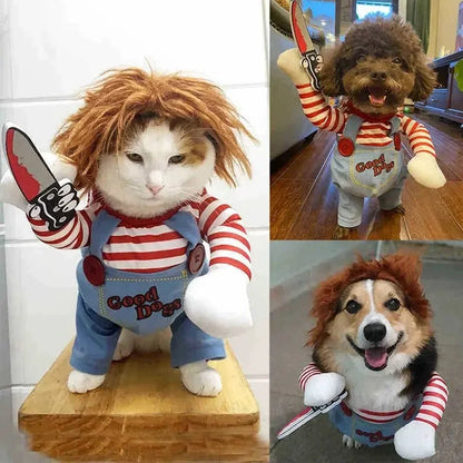 Halloween Pet Costume