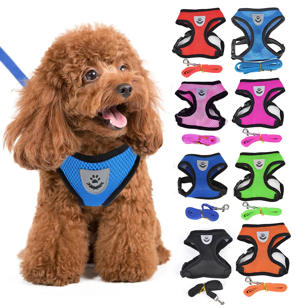 Harness with Leash for Pets