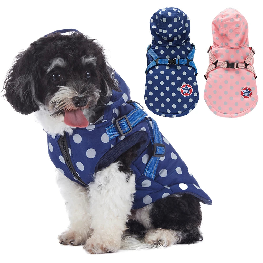 Hooded Jacket With Harness for Dog